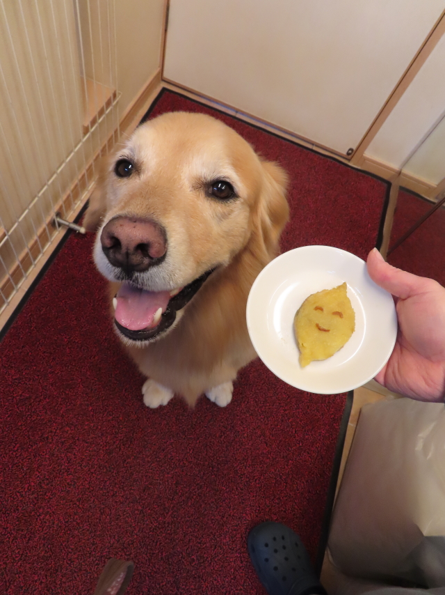 ファイル 8680-3.jpg