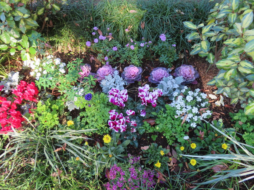 ファイル 8680-5.jpg