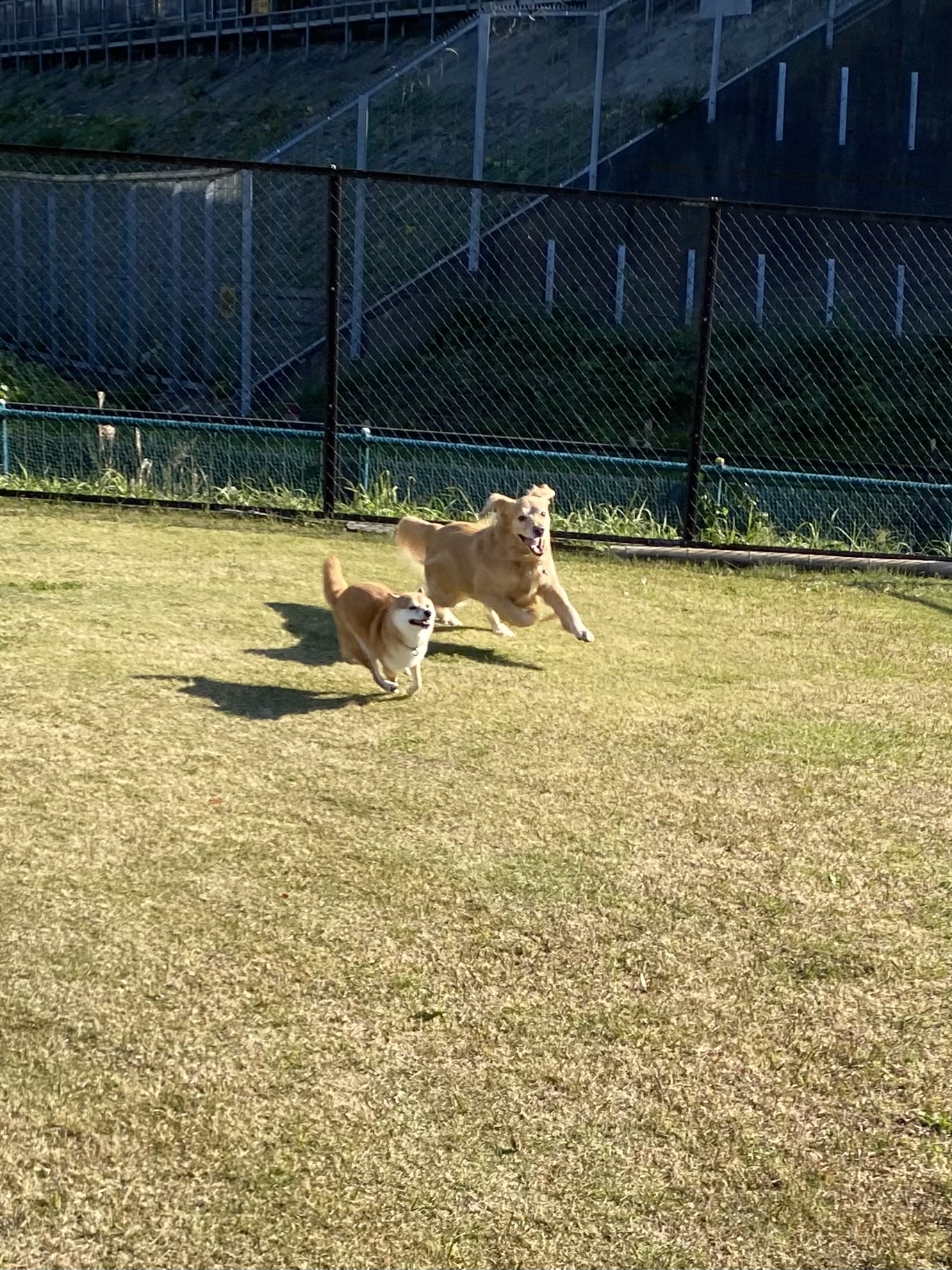 ファイル 8681-3.jpeg