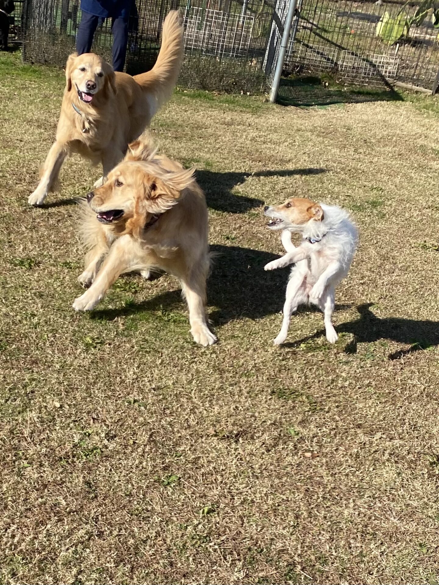 ファイル 8681-4.jpeg