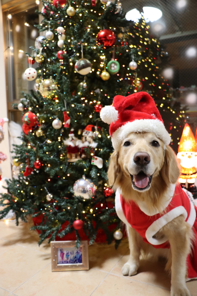 ファイル 8682-5.jpg