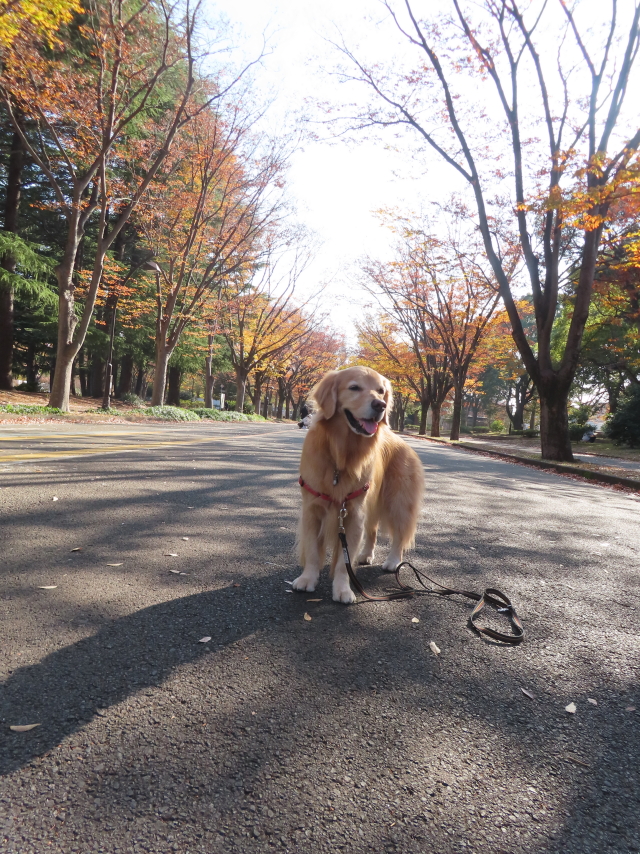 ファイル 8683-4.jpg