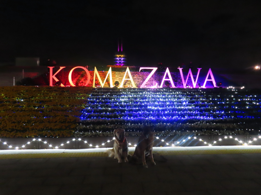 ファイル 8684-2.jpg