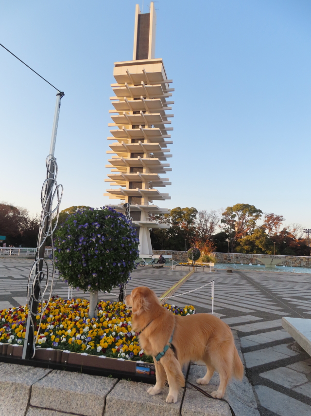 ファイル 8684-5.jpg