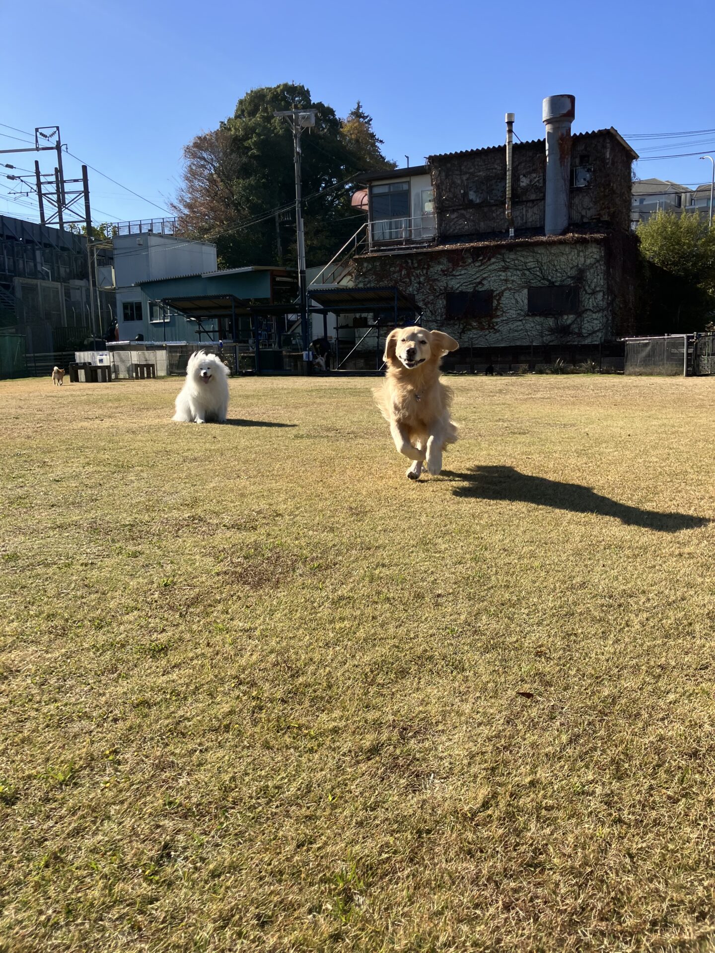 ファイル 8687-3.jpeg