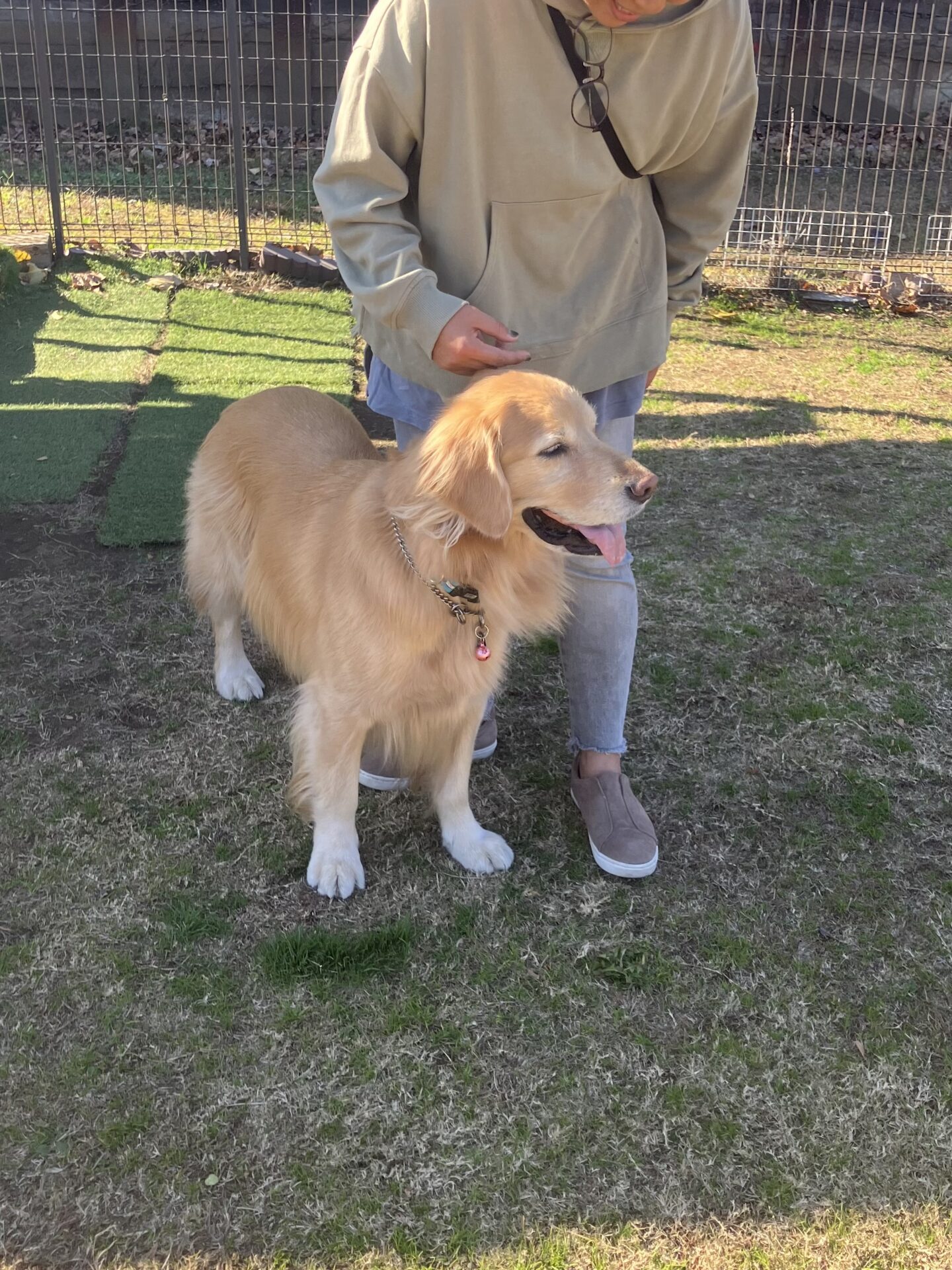 ファイル 8687-4.jpeg