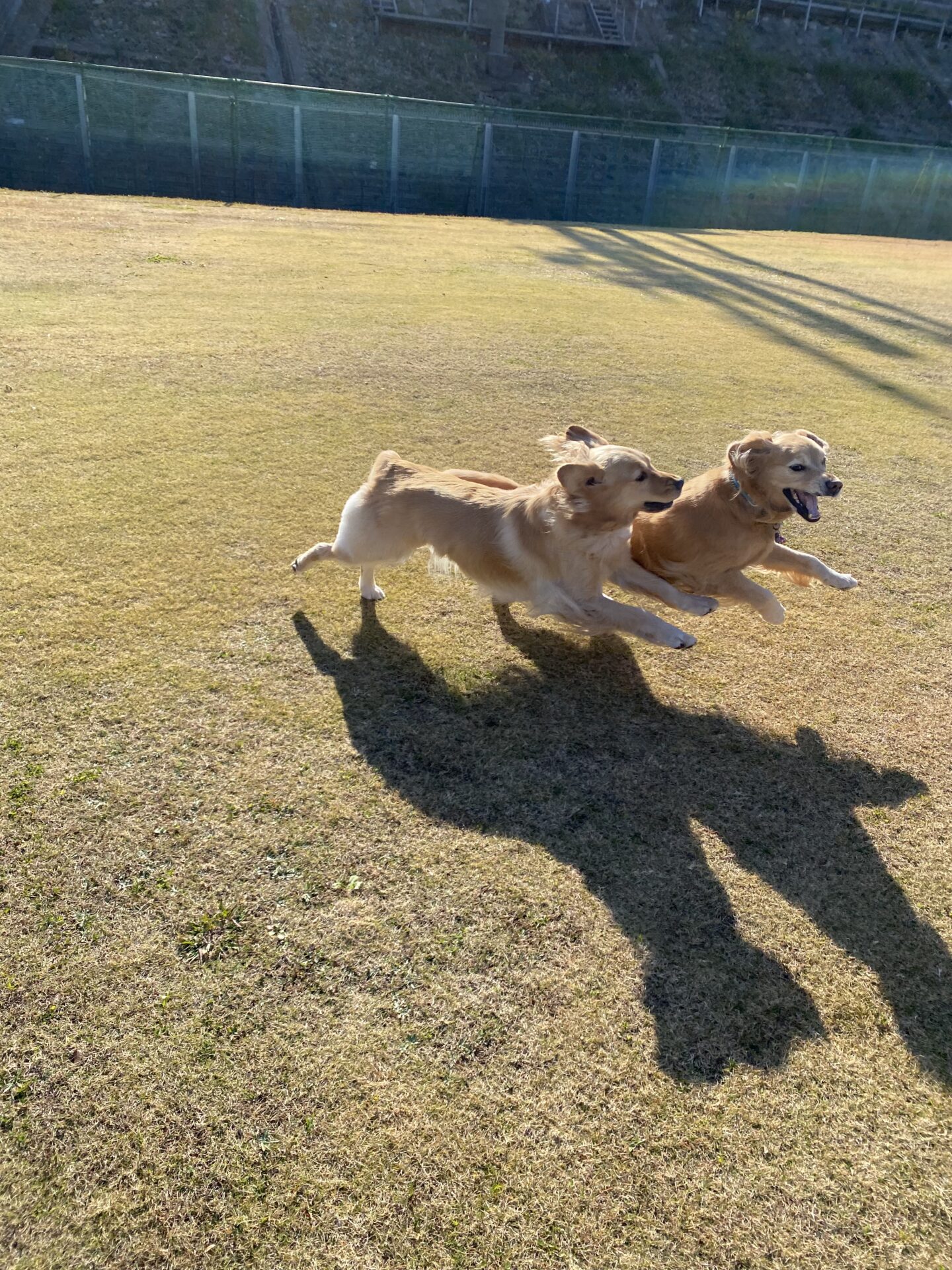 ファイル 8689-1.jpeg