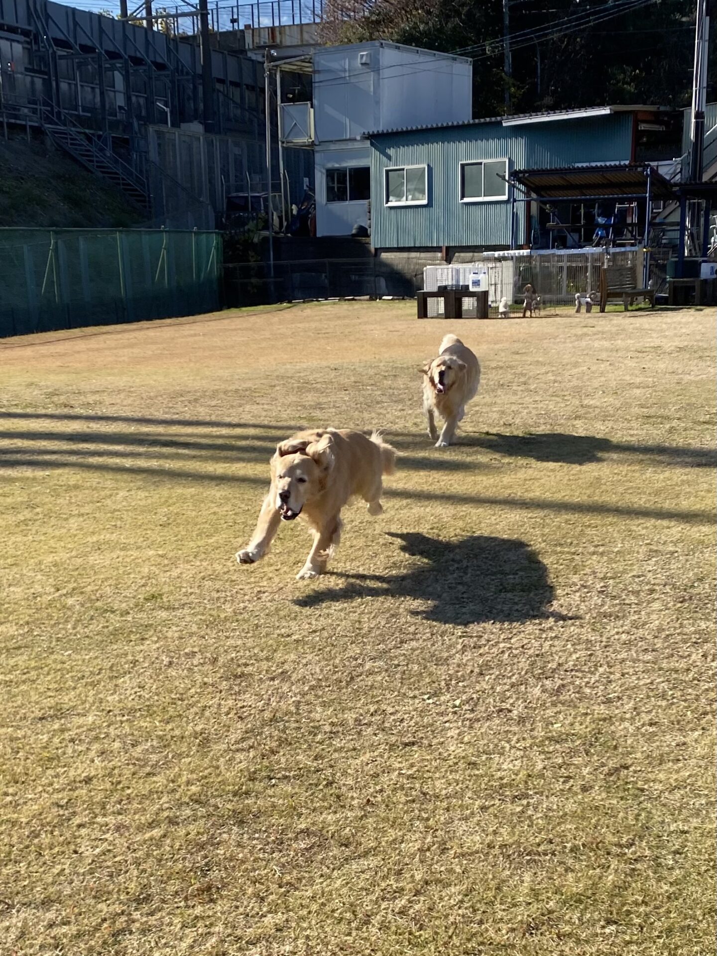 ファイル 8689-3.jpeg