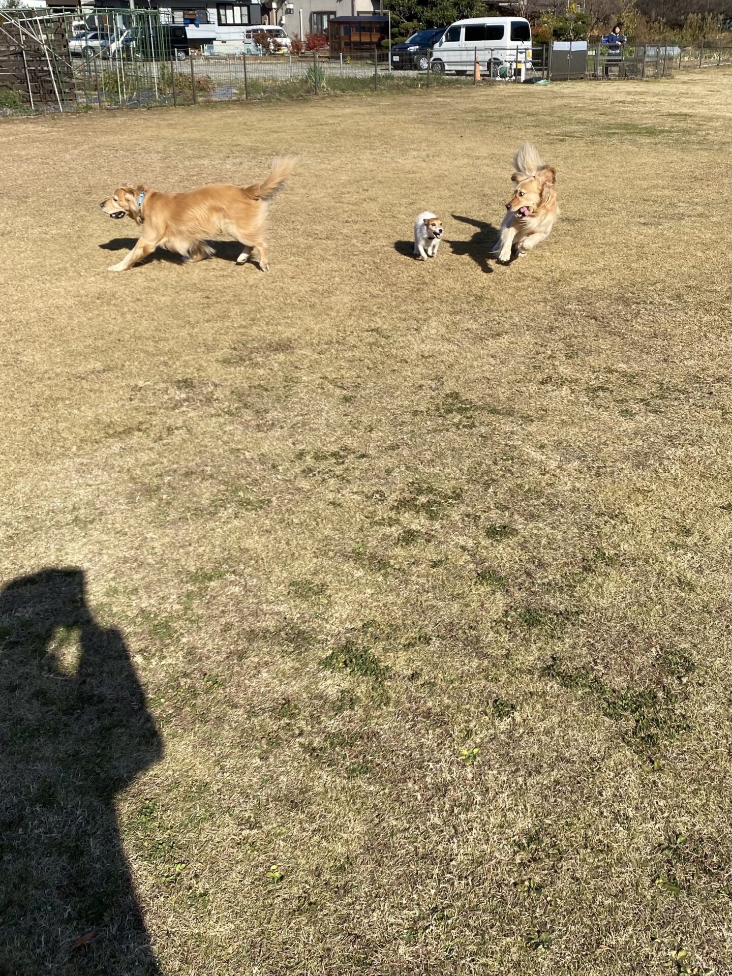 ファイル 8689-5.jpeg