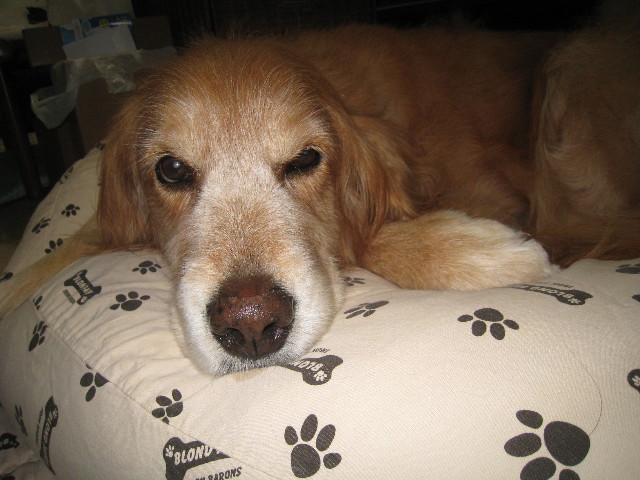 ファイル 869-3.jpg