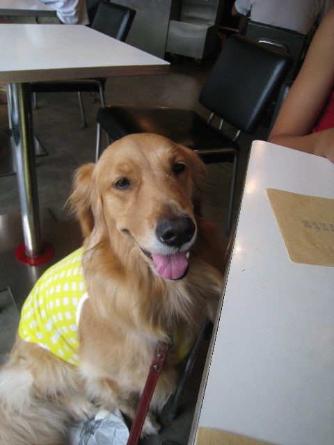 ファイル 869-5.jpg