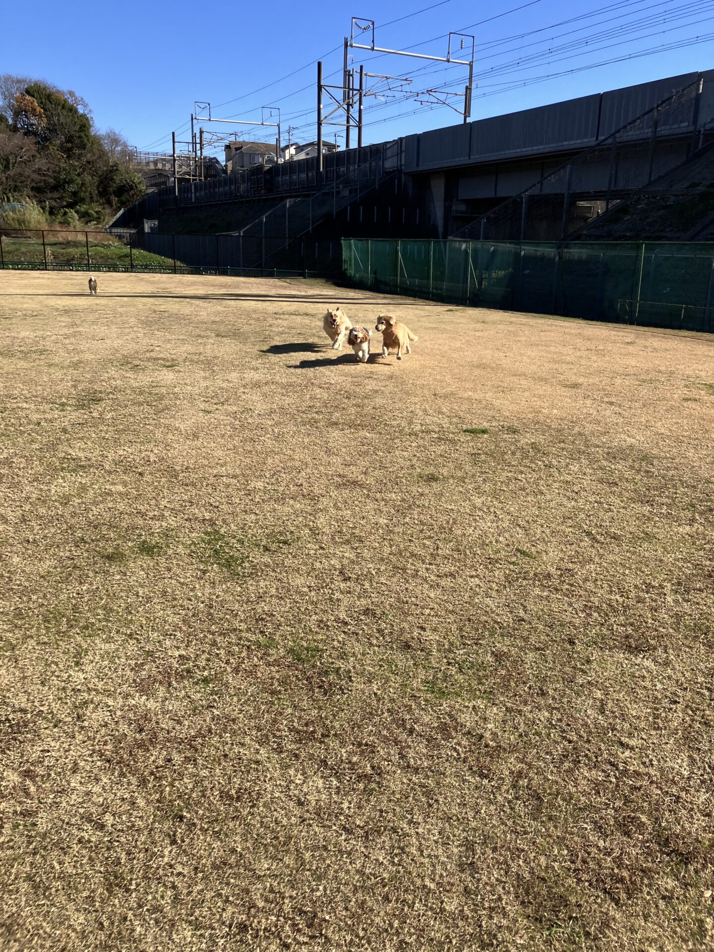 ファイル 8690-2.jpeg