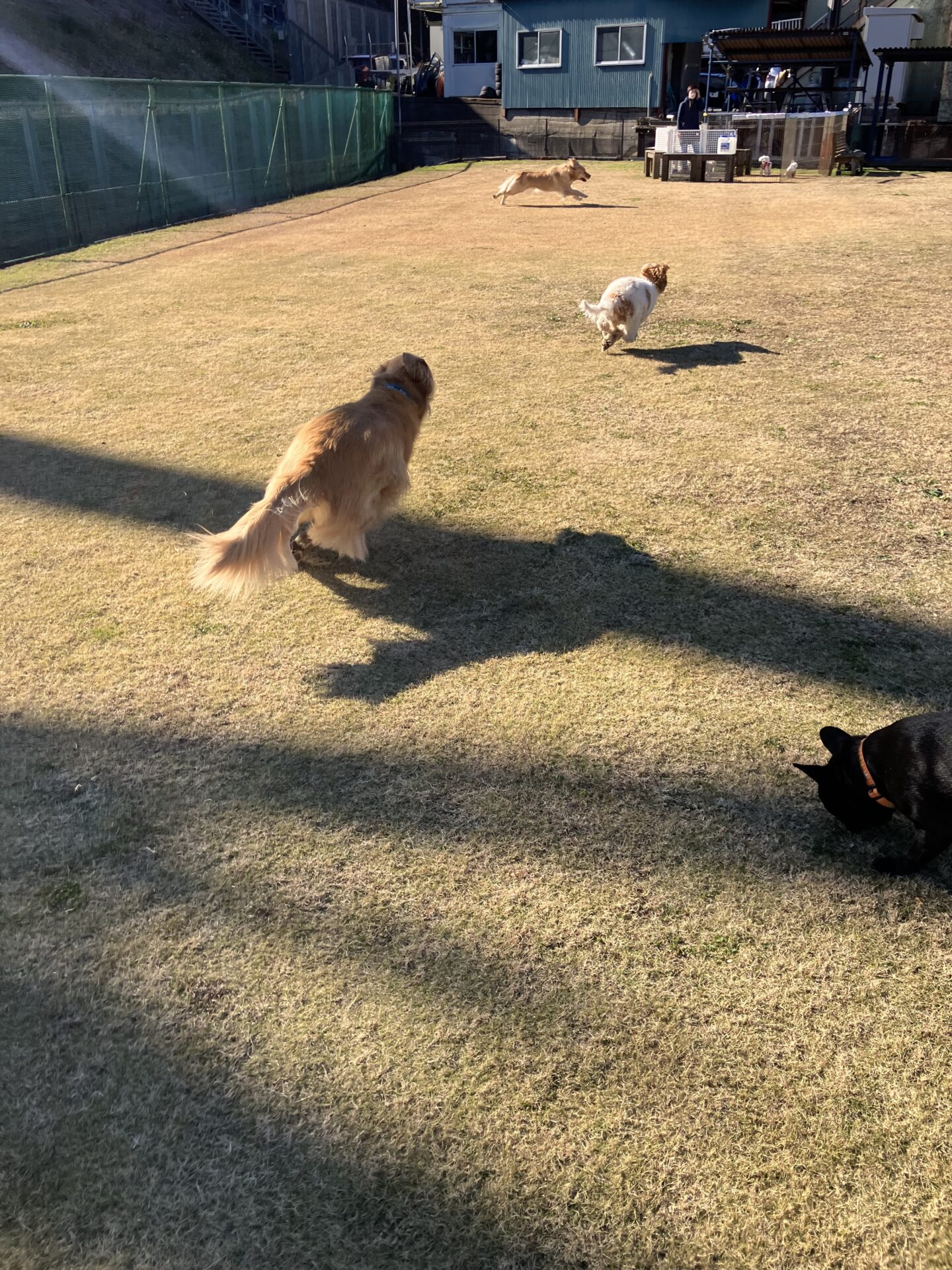 ファイル 8690-4.jpeg