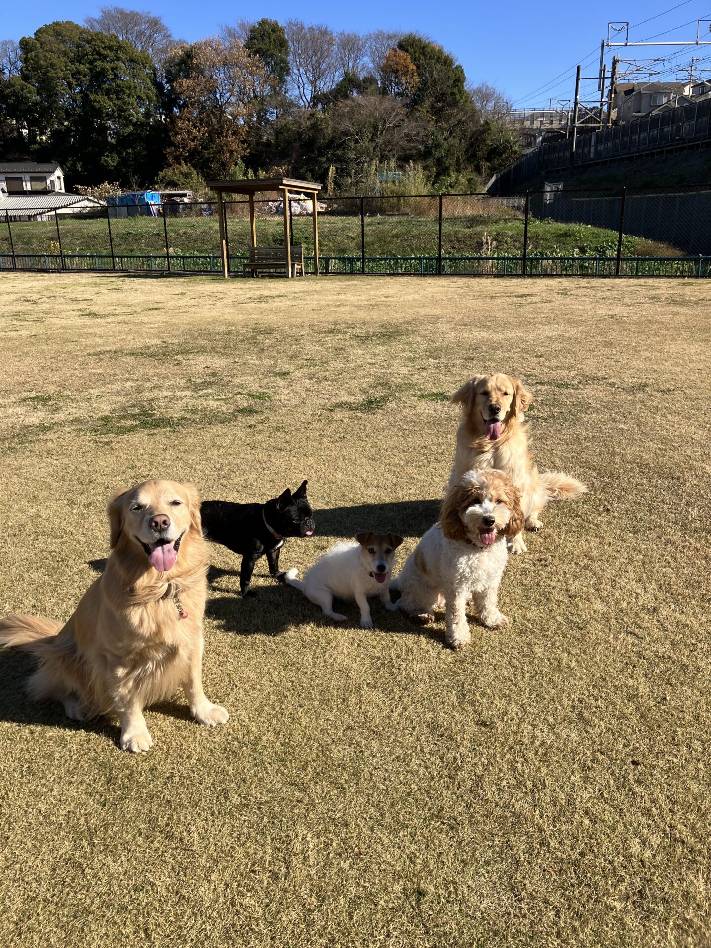 ファイル 8690-5.jpeg