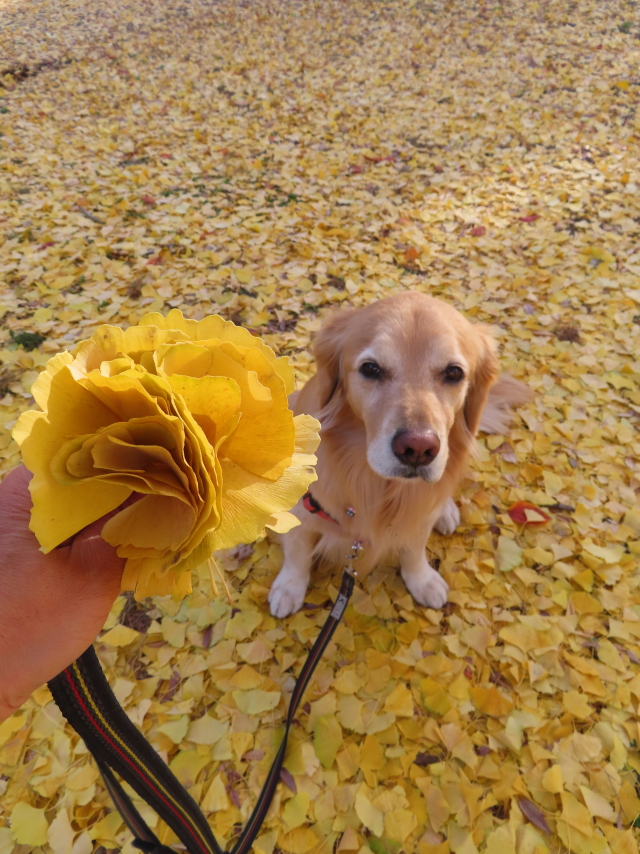 ファイル 8691-4.jpg