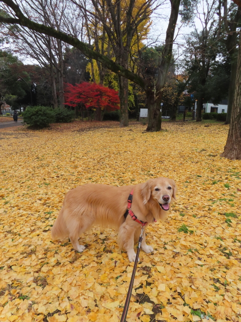 ファイル 8691-5.jpg