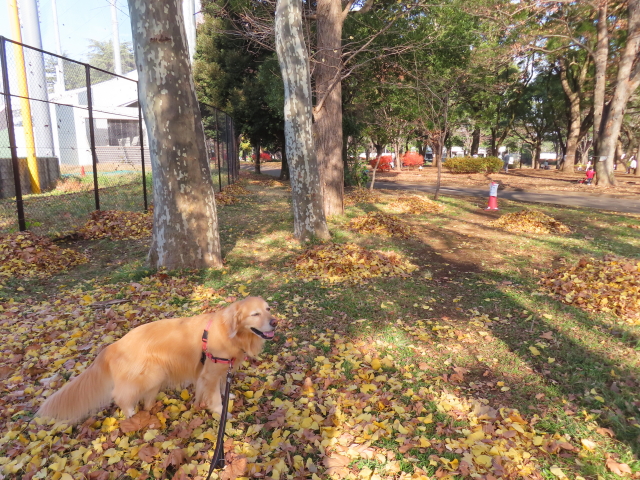 ファイル 8692-5.jpg