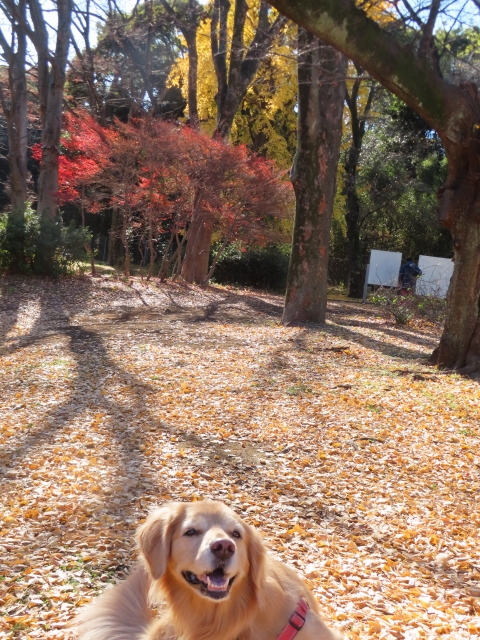 ファイル 8693-3.jpg