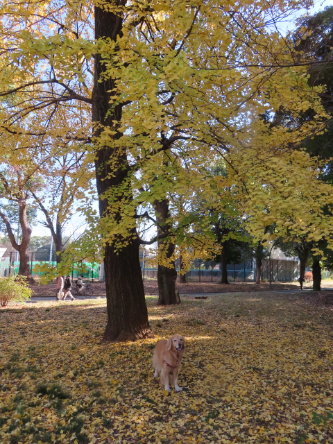 ファイル 8693-4.jpg