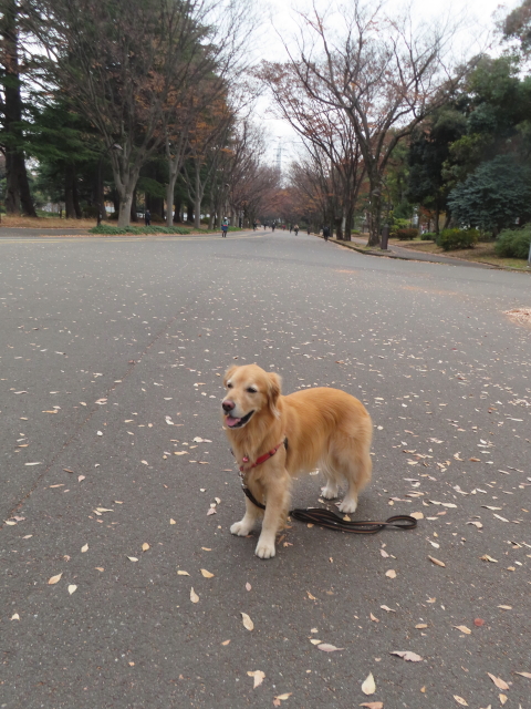 ファイル 8693-5.jpg