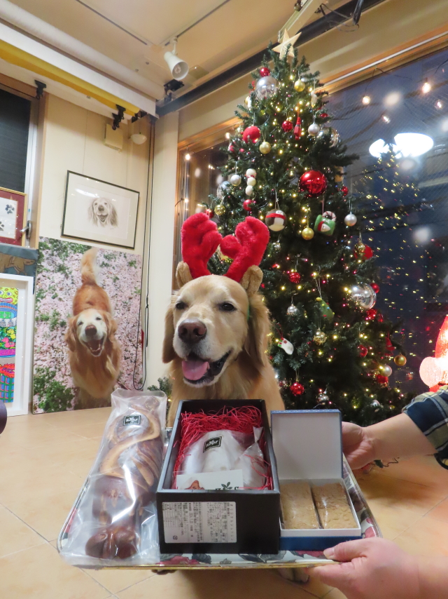 ファイル 8694-1.jpg