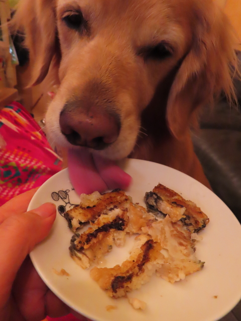 ファイル 8694-5.jpg