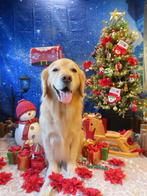 ファイル 8695-2.jpg