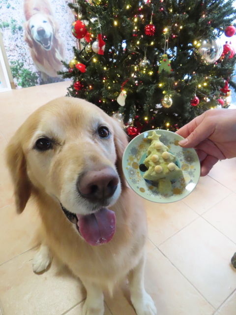 ファイル 8695-3.jpg