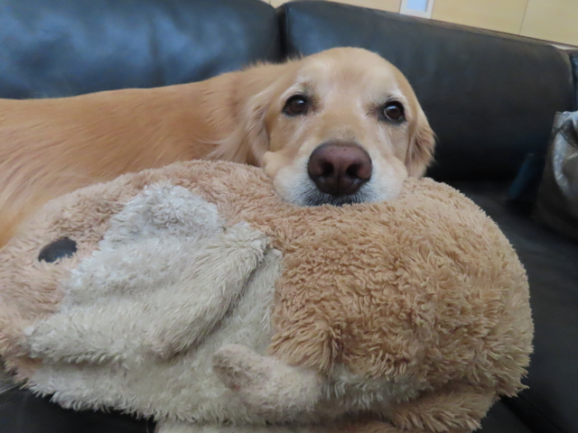 ファイル 8699-2.jpg