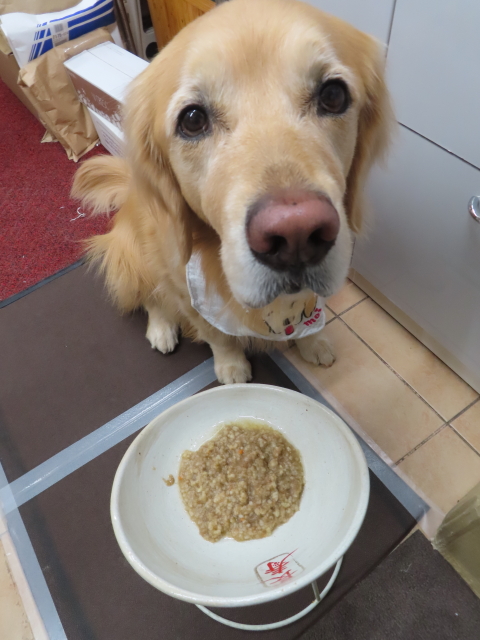 ファイル 8703-3.jpg