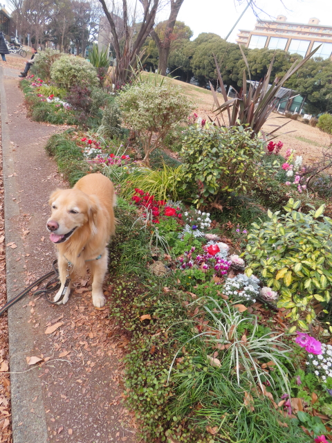 ファイル 8704-4.jpg