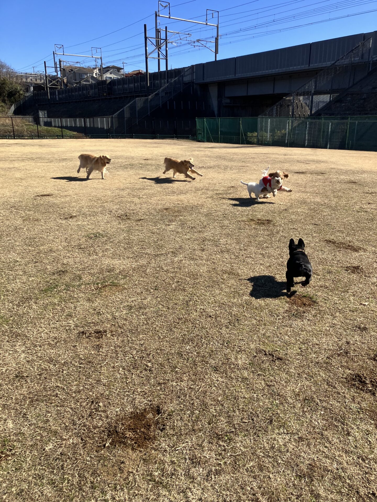 ファイル 8706-3.jpeg