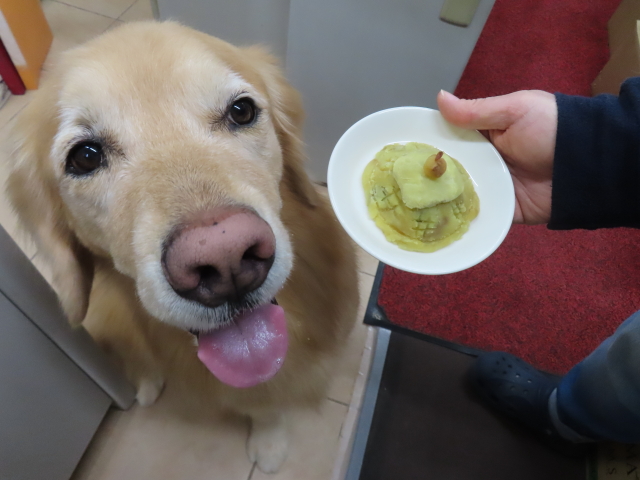 ファイル 8708-4.jpg