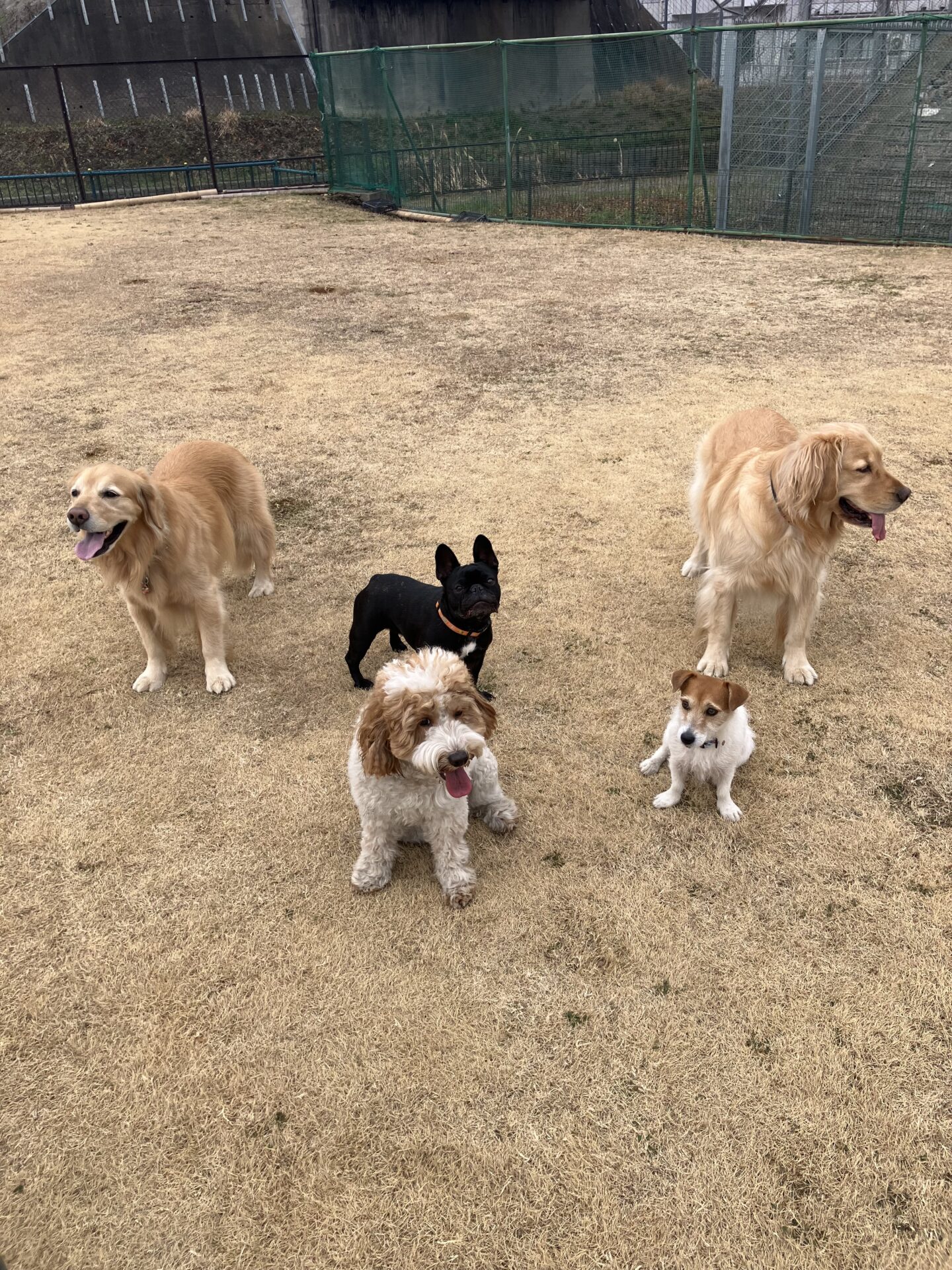 ファイル 8709-4.jpeg