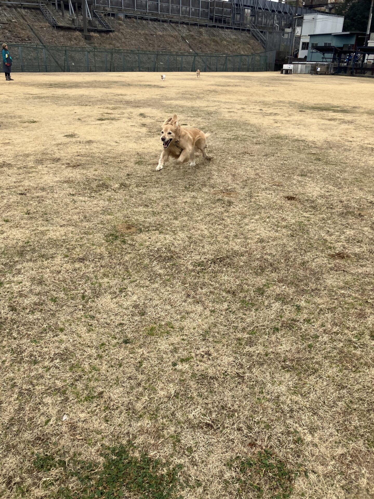 ファイル 8709-5.jpeg