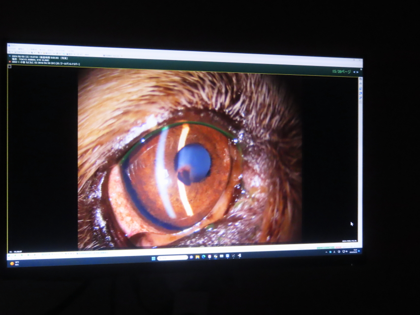 ファイル 8710-2.jpg