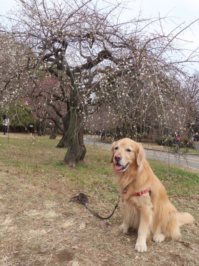 ファイル 8712-4.jpg