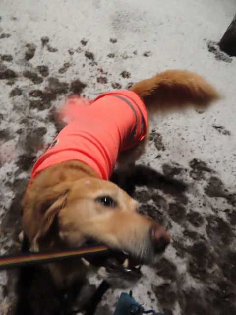 ファイル 8713-4.jpg