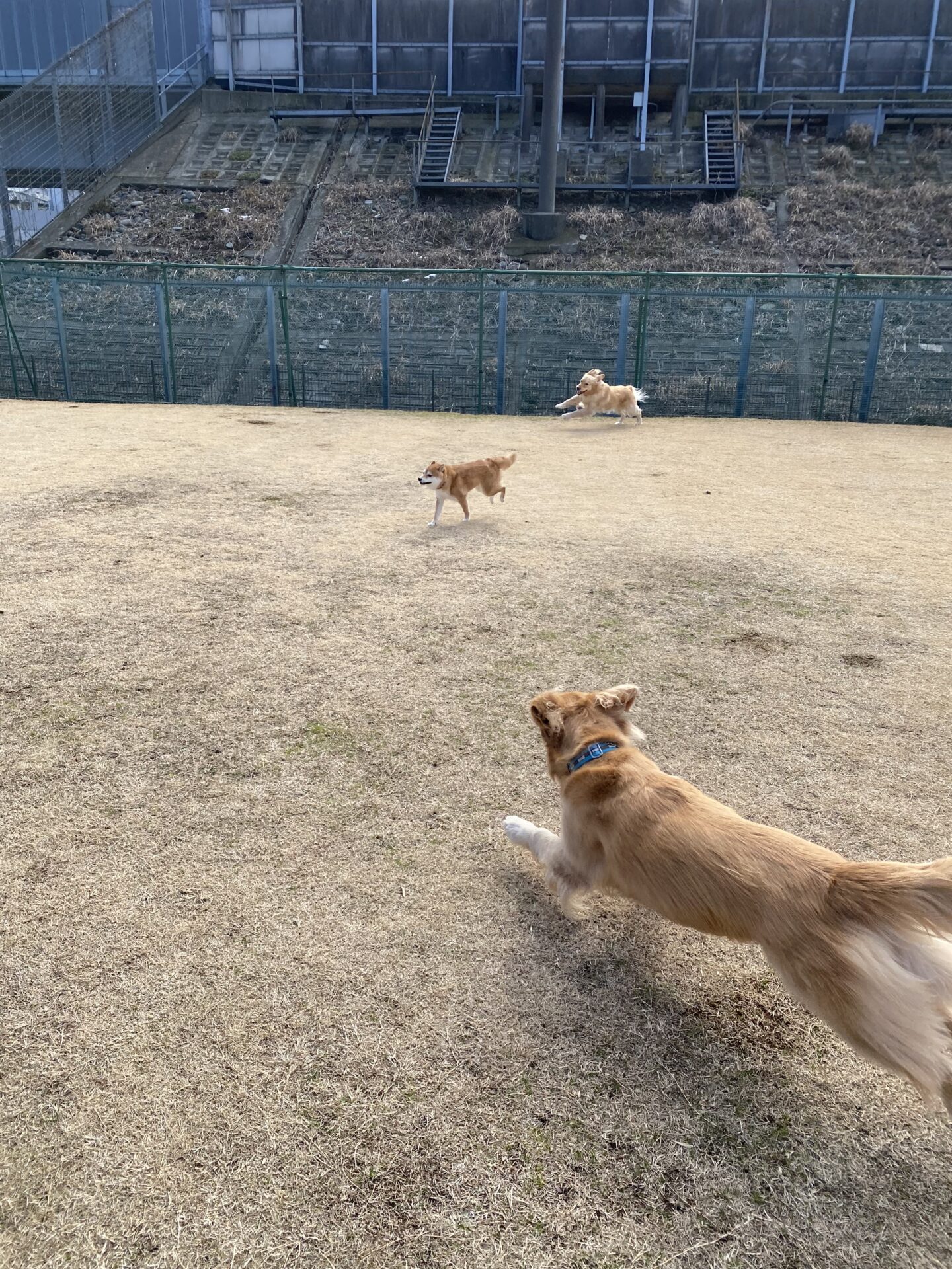 ファイル 8714-1.jpeg