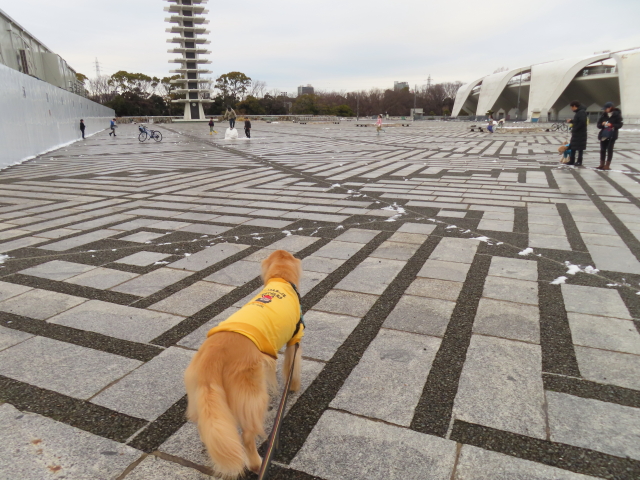 ファイル 8715-2.jpg