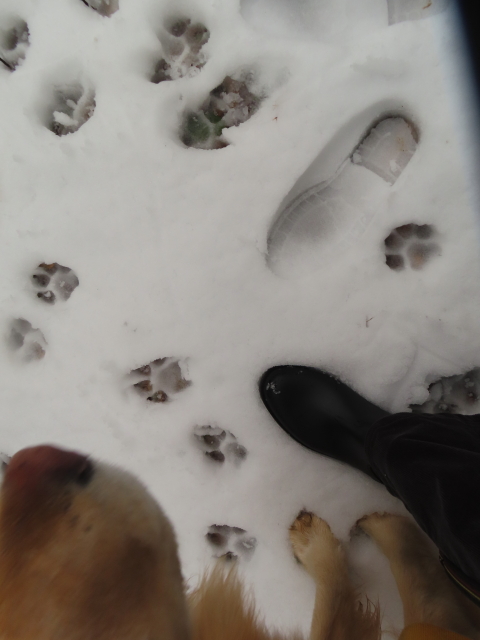 ファイル 8715-4.jpg