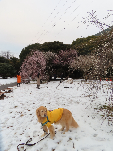 ファイル 8716-3.jpg