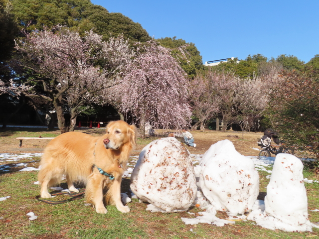 ファイル 8717-1.jpg