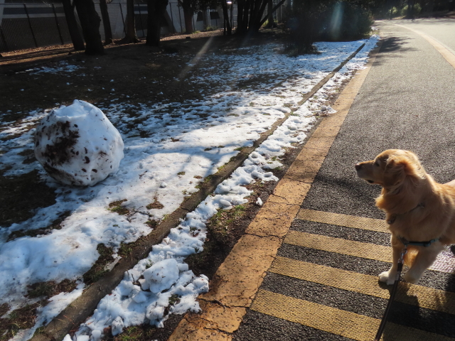 ファイル 8717-2.jpg