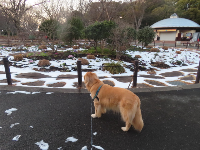 ファイル 8717-3.jpg