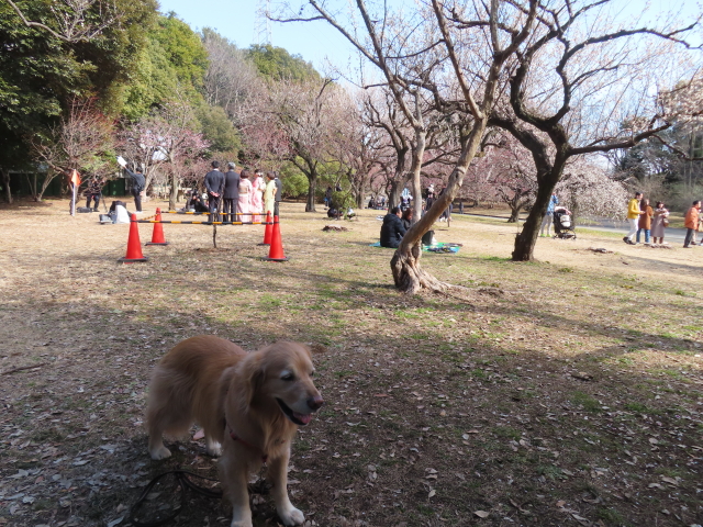 ファイル 8719-3.jpg