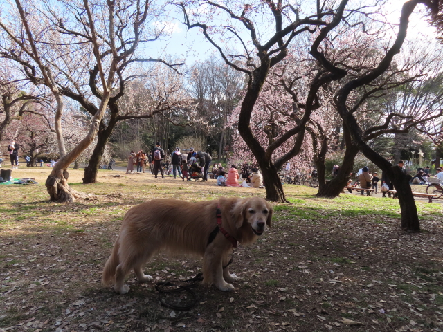 ファイル 8719-4.jpg