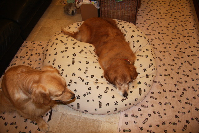 ファイル 872-5.jpg