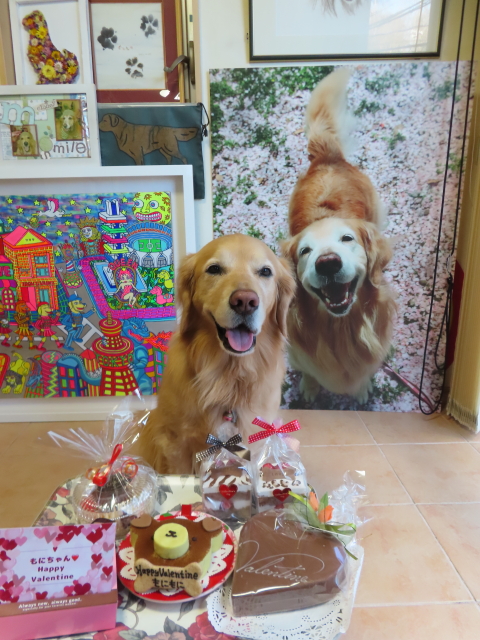 ファイル 8720-1.jpg