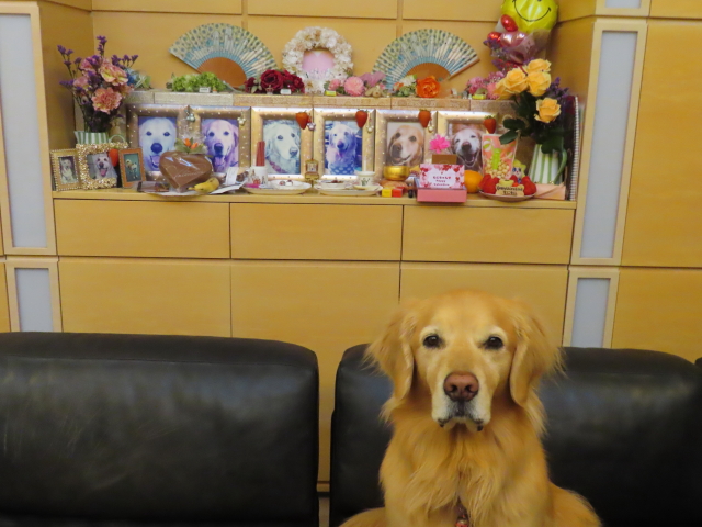 ファイル 8720-3.jpg